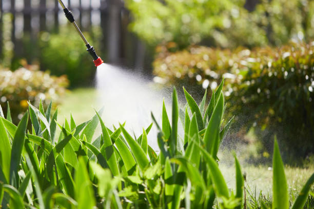 Tamper-Resistant Bait Stations for Rodents in Lovejoy
