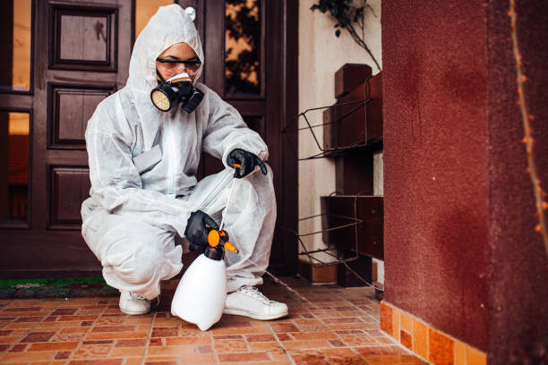Attic and Crawl Space Rodent Treatment in Lovejoy