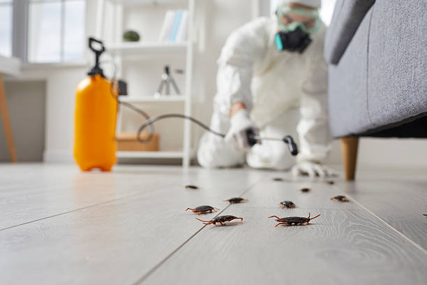 Commercial Rodent Management in Lovejoy